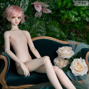 娃娃 Senior Delf Muse Type (Doll 15% Discount Promotion)