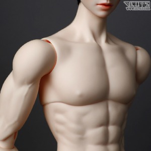 娃娃 Super Senior Delf BOY Superior Body (Muscle)